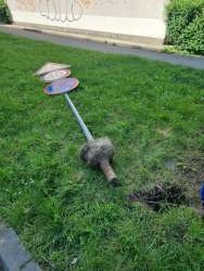 Photo of this report